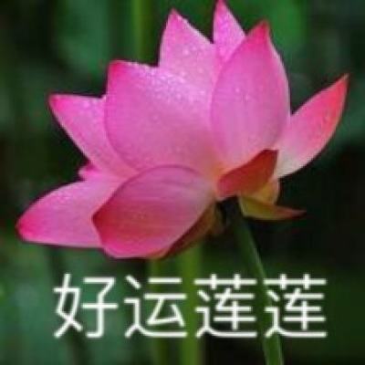 视频脉动大运河⑫｜姑苏入梦谱写运河诗篇